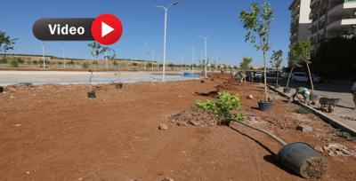 Haliliye'de Yeni Parklar 'Yeşil' İle Buluşuyor