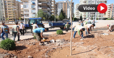 Haliliye'de Yeni Parkların Ağaçlandırılması Sürüyor