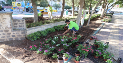 Haliliye'deki Parklar Peyzaj Çalışmaları İle Güzelleşiyor