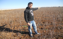 Harran çiftçisi kaçıyor!