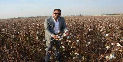 Harran ovasında çiftçilerin yüzü güldü