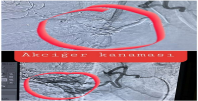 Harran Üniversitesi Hastanesi Bölgede söz sahibi olmaya devam ediyor.