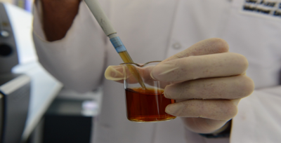 Harran Üniversitesi, Doğu ve Güneydoğu Anadolu Bölgesindeki İthal Çay Tüketimini Araştırdı