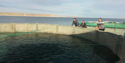 Harran Üniversitesi'nden Alabalık Üreticilerine Teknik Destek