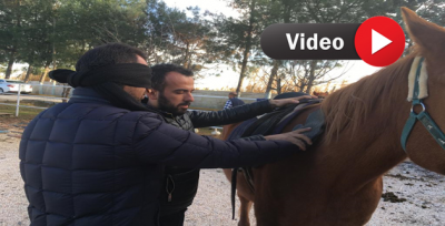 Harran Üniversitesi'nde Atlı Terapi Antrenörlük Eğitimi Düzenlendi