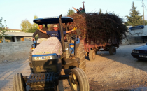 Harran'da kış hazırlıkları başladı