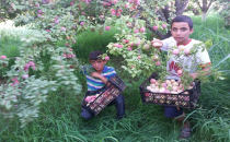 Harranlı lise öğrencisi çiftçilikte iddialı