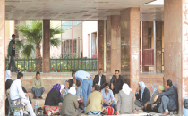 Hasta yakınlardan aynı manzara