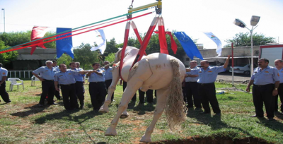 Hayvan kurtarma eğitimi verildi