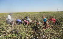 Hem Başkenttiz, Hemde İşçinin Kıymetini Bilmeyeniz!