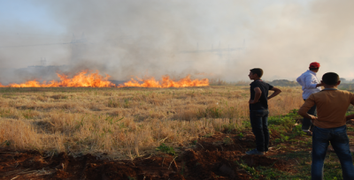 Her yıl yaşanan anız yangınların önüne geçilemiyor