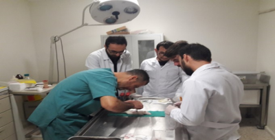 HRÜ'de Hayvan Deneyine Başlandı