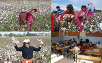 İki hafta oldu onlara zil çalmadı