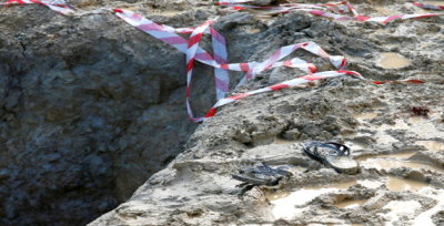 İki kardeş feci şekilde can verdi!