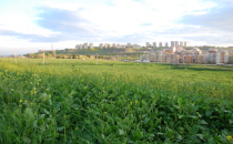 İlaçlama Önlemi Erkenden Alınmıyor