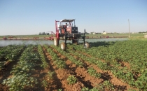 İlaçlama sezonu başladı