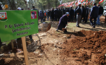 İlk fidan Şehit Günak'ın anısına oldu