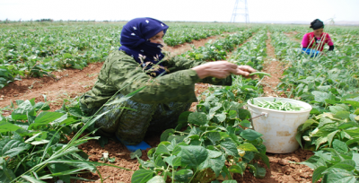 İşçi Kadınlar İçin Ramazan Zorlu Geçiyor