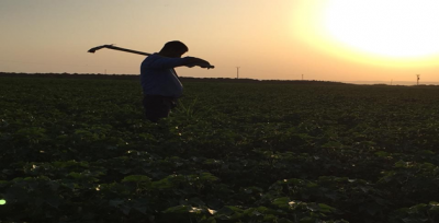 İşçilerin sıcakla imtihanı