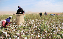 İşçilik Hasad Fiyatları Açıklandı