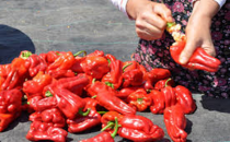 İSOT Sezonu başladı