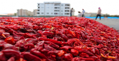 İSOT Üreticileri İçin Müjdeli Haber