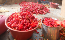 İsot'un son günleri