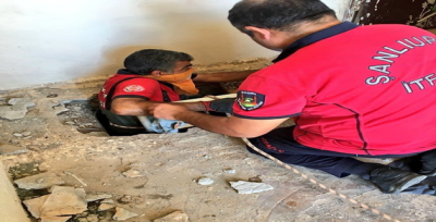 İtfaiye Ekipleri O Kediyi Kurtardı