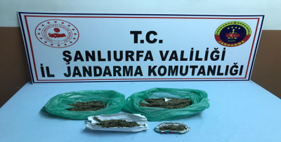 Jandarma Ekiplerinden Uyuşturucu Operasyonu!