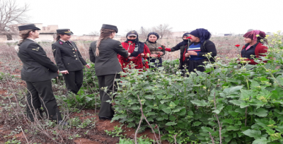 Jandarmadan Urfalı  kadınlara karanfil