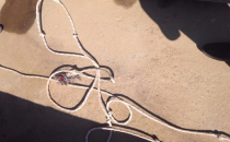 Kadın cinayetinde flaş gelişme