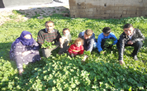 Kadınların ev bütçelerine katkıları ebegümeci