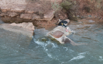 Kanallarda bakın ne var!