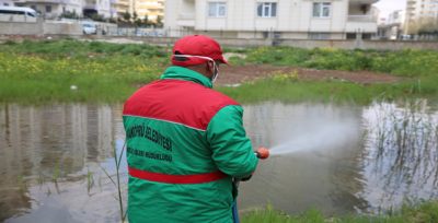 Karaköprü'de İlaçlama Seferberliği Sürüyor
