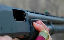 Kardeş Kavgası: 6 Ölü