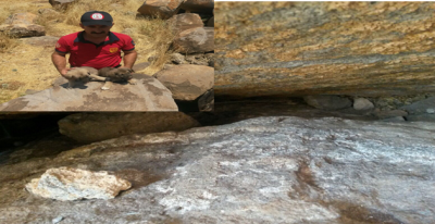 Kayalıkta sıkışan yavruları itfaiye kurtardı