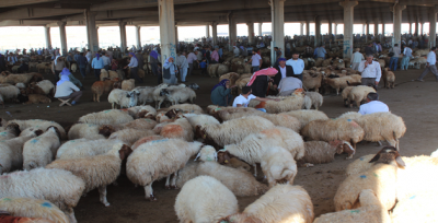  ''Kimsenin Mağdur Olmayacağı Fiyatlar Var Şuan''