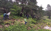 Komutanlar ve Eşlerini Taşıyan Askeri Helikopter Düştü