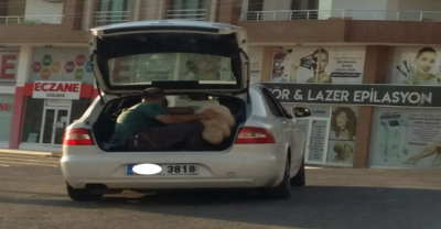 Koyun Koyuna Yolculuk