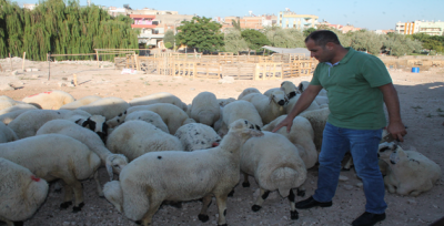 Kurban Bayramı'na Bir Gün Kala Hayvan Pazarları Hareketlendi