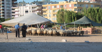  Kurban Pazarında Arife Günü Hareketliliği