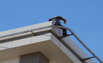 Maaşını Alamayınca İntihara Kalkıştı