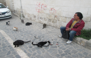 Maaşını kedilere yediriyor