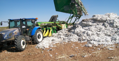Makine Çıktı, Mevsimlik İşçiler İşsiz Kaldı