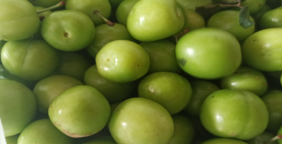 Meşhur Halfeti eriği çıktı 