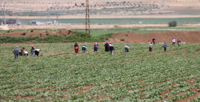 Mevsimlik İşçilerin Oruçla İmtihanı