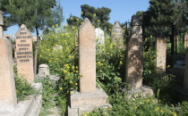 Mezarlık temizlenmeyi bekliyor!