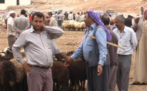 Mezat var kesim yeri yok