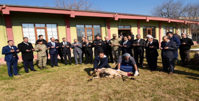 Milletimizin Selameti İçin Şanlıurfa'da Kurban Kesildi Dua Edildi