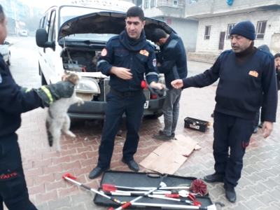 Minibüsün Motoruna Sıkışan Kediyi İtfaiye Kurtardı